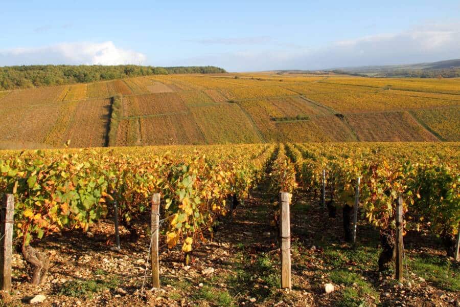 Les Visites Solstice d'été et d'hiver | Office de Tourisme Chablis ...