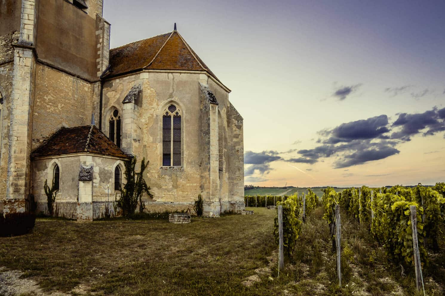 Vue sur les vignes et l'église de Préhy