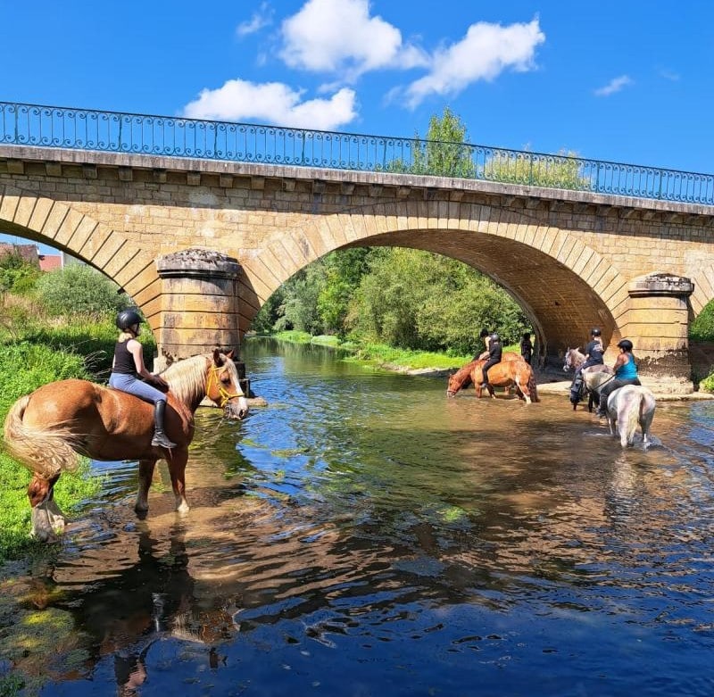 A Cheval dans L'Yonne 2 A Cheval dans LYonne 2 1