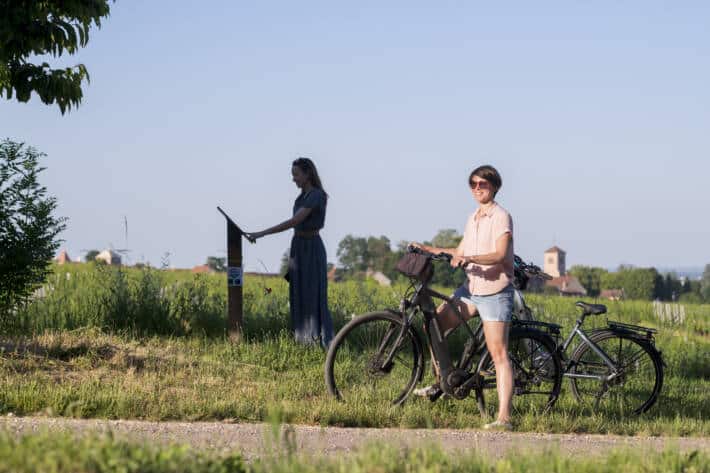 Des cyclistes dans les vignes