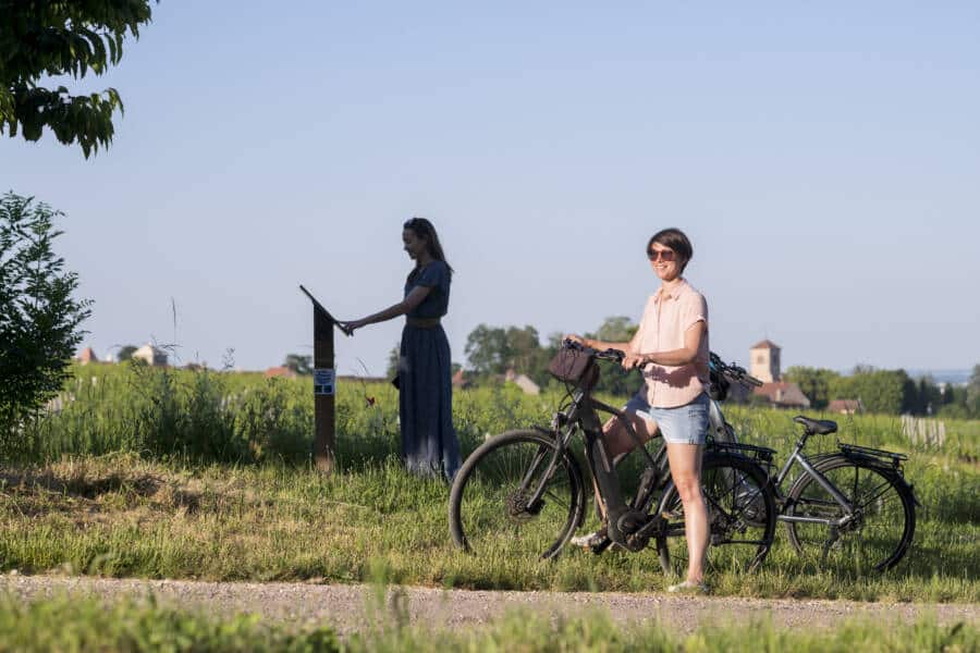 Des cyclistes dans les vignes Des cyclistes dans les vignes