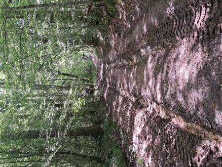 chemin de randonnée dans l'Yonne ne Bourgogne avec Amandine Chevallier