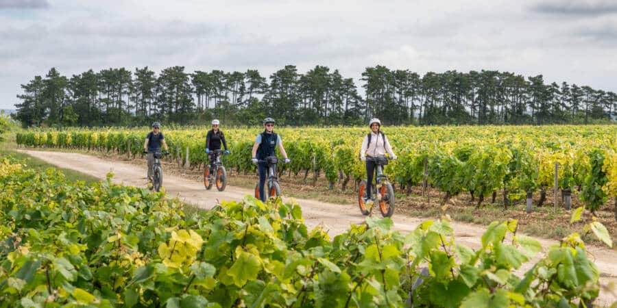 France à Vélo - etrott dans les vignes à Chablis/Auxerre/Saint Bris