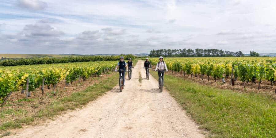 France à Vélo - Etrott dans les vignes