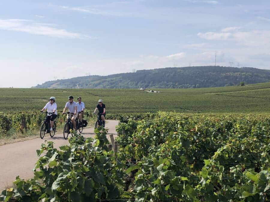balade dans les vignes chablisiennes