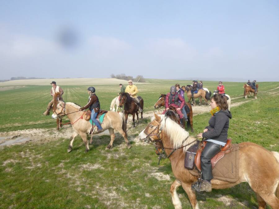 Cheval-et-Nature-89-bis