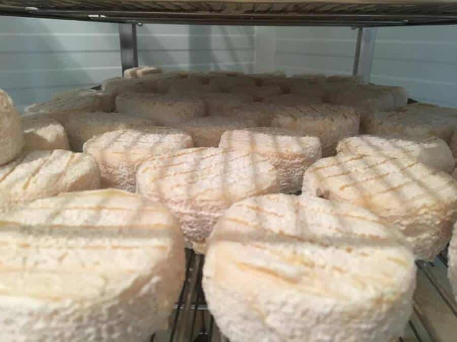 Le p'tit chèvre de Bernouil
