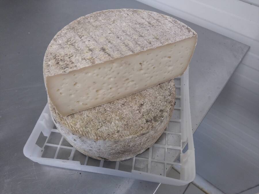 Le p'tit chèvre de Bernouil