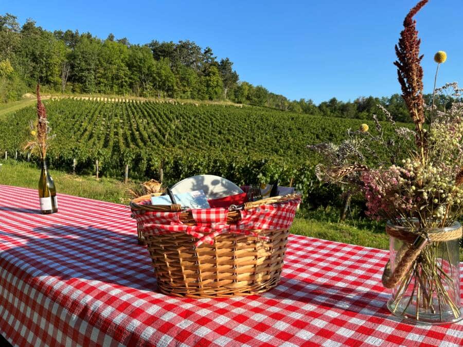 Vignes
