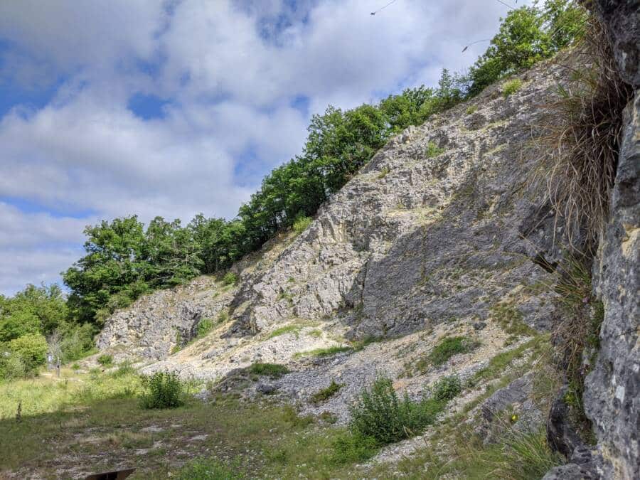 RNNBDP - Bois du Parc - O Girard - 25