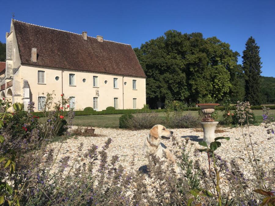 Abbaye de Reigny