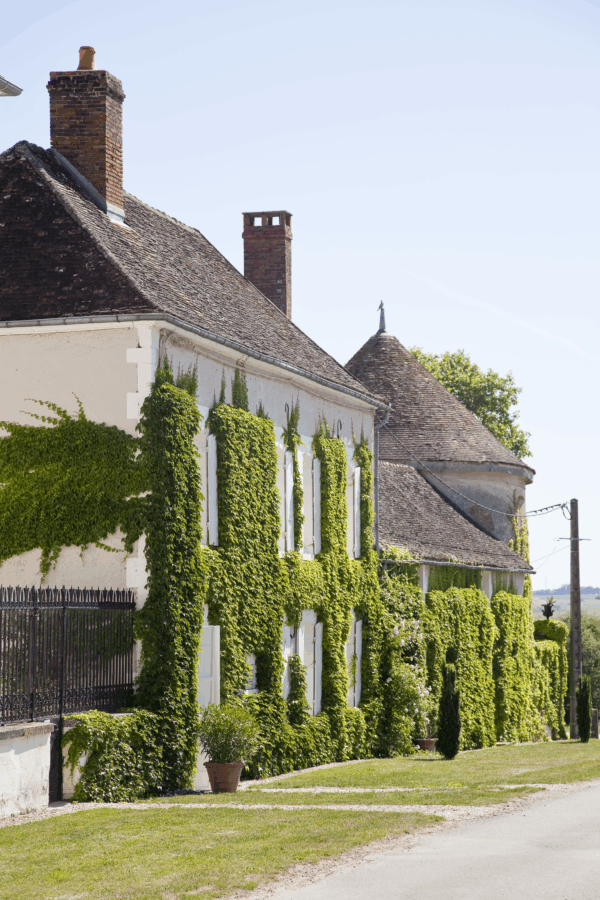 Chateau