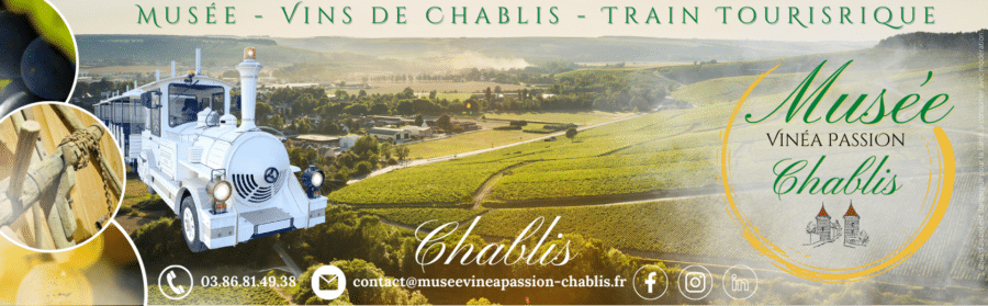 VINÉA PASSION - MUSÉE DE LA VIGNE ET DU VIN