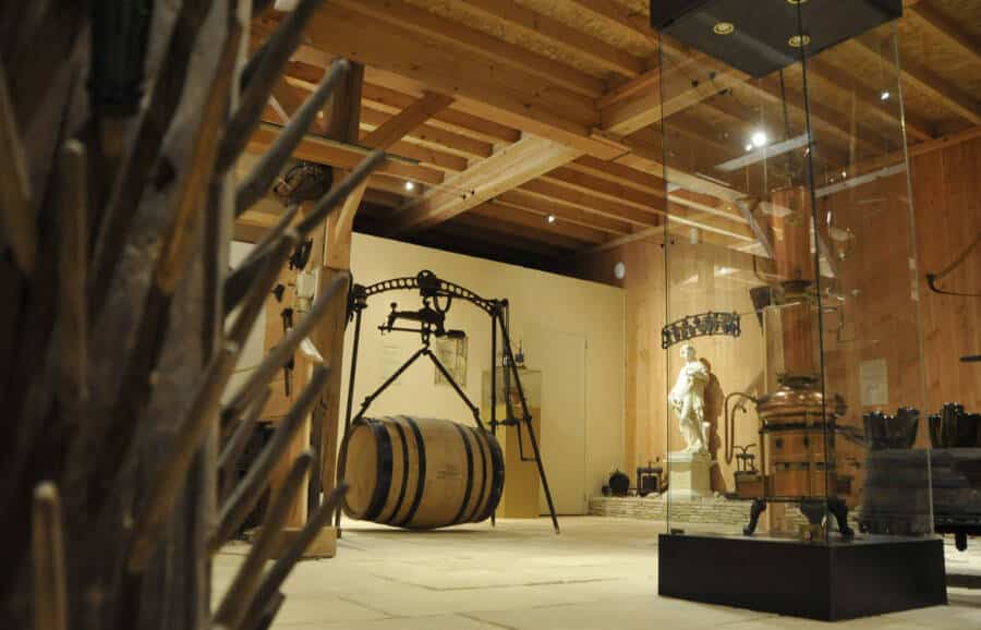 VINÉA PASSION - MUSÉE DE LA VIGNE ET DU VIN